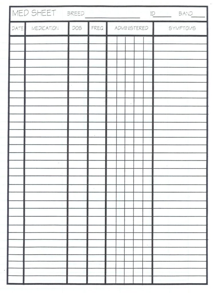 22 Blank MAR Ideas Medication Chart Medical Binder Medication Log