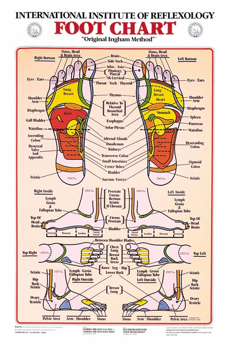 Feet Reflexology Chart Printable