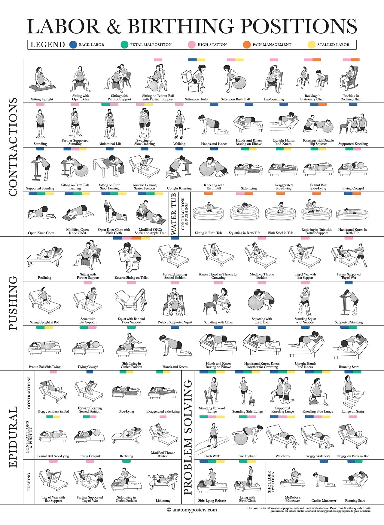 Labor Positions Chart Printable