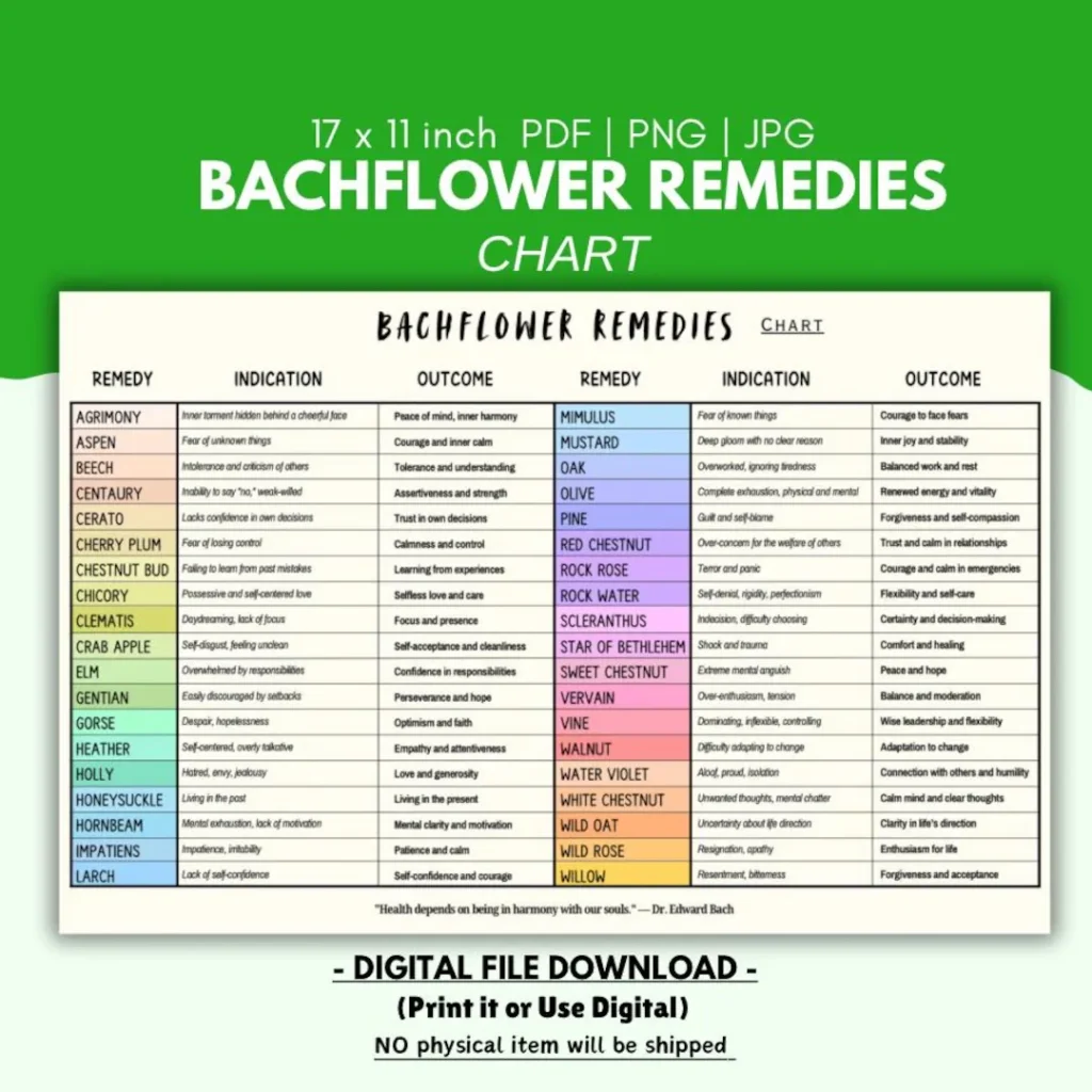 Bach Flower Remedies Chart 38 Flower Essences Guide digital Print Etsy
