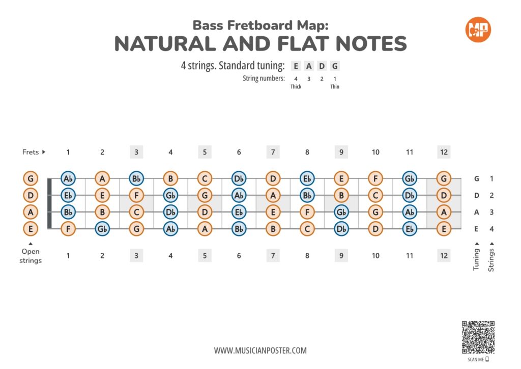 Bass Guitar Fretboard Map PDF With All Notes