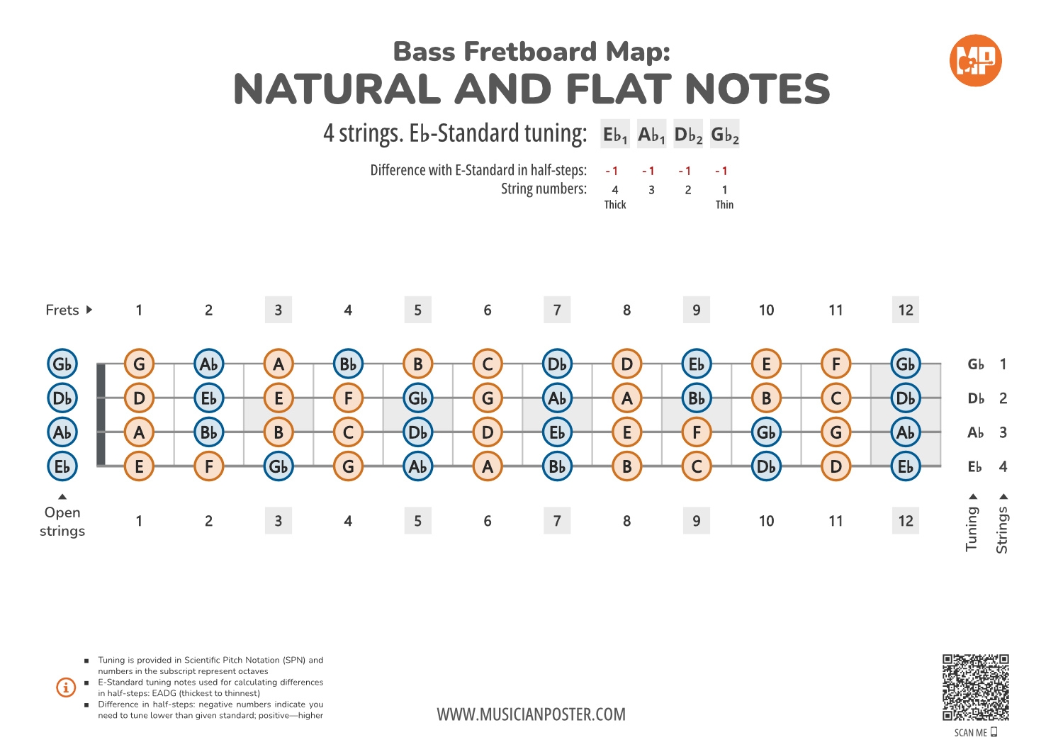 Printable Bass Fretboard Chart To Scale