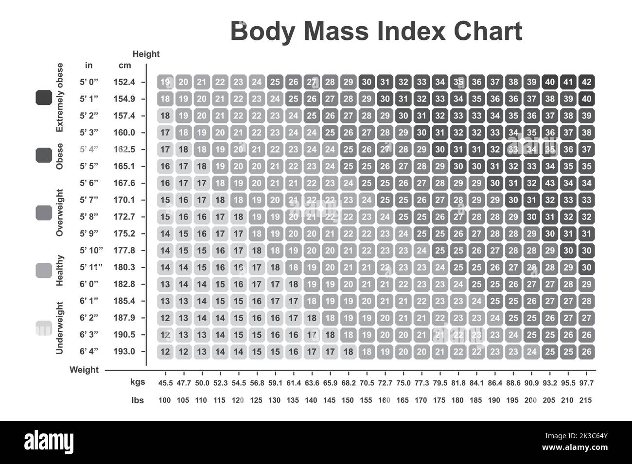 Printable Bmi Chart Black And White