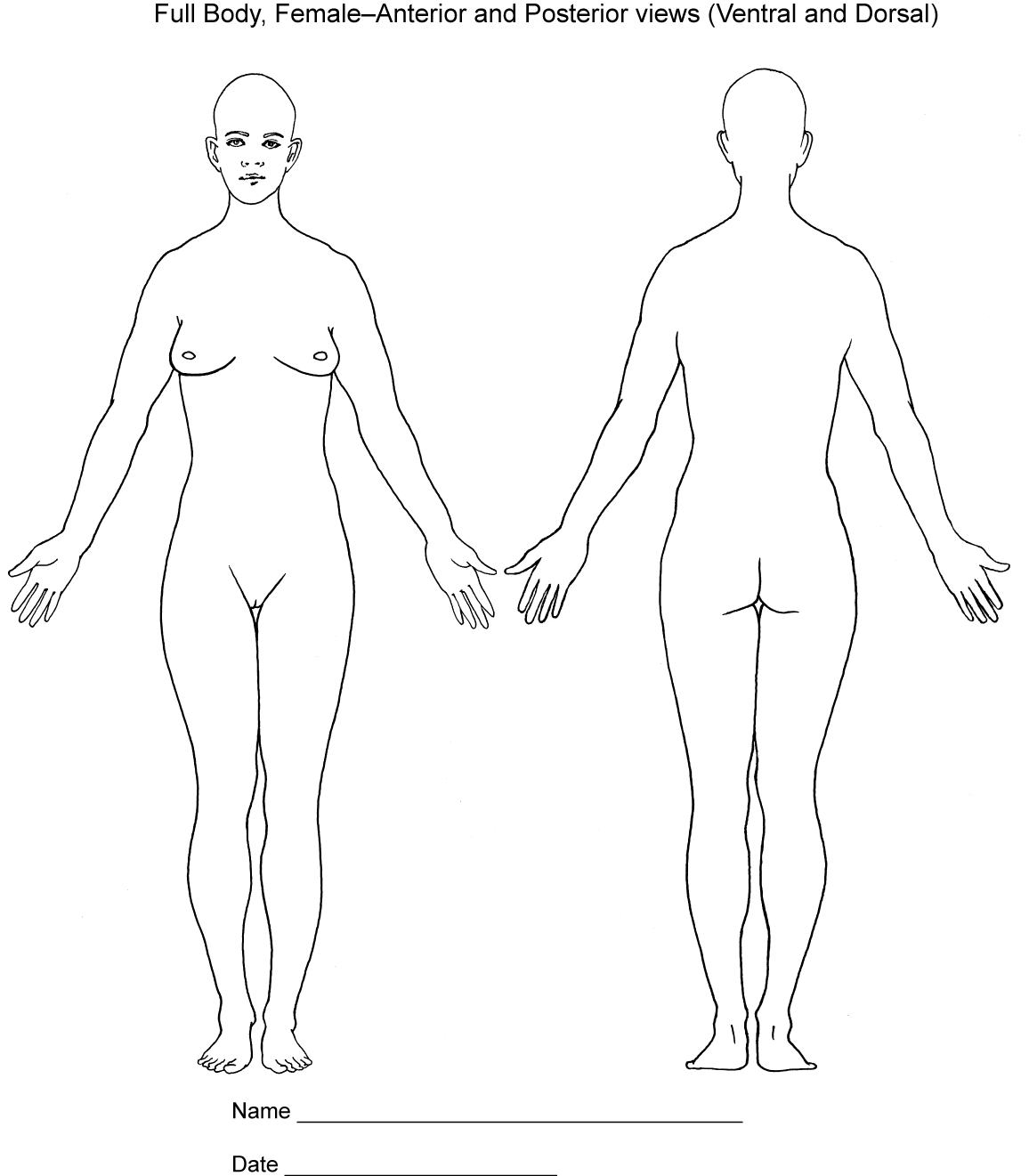 Printable Body Chart