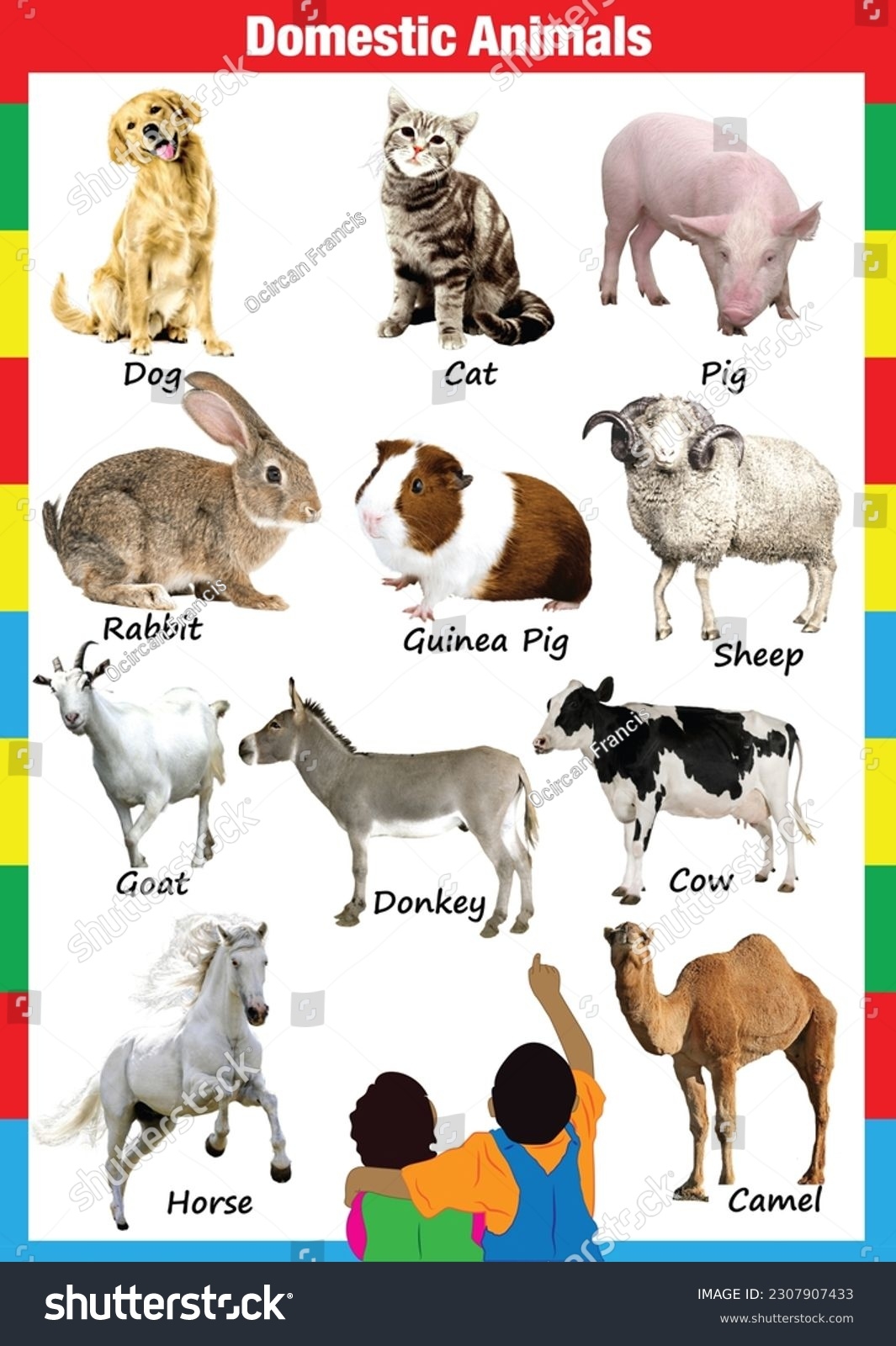 Animals Printables Chart