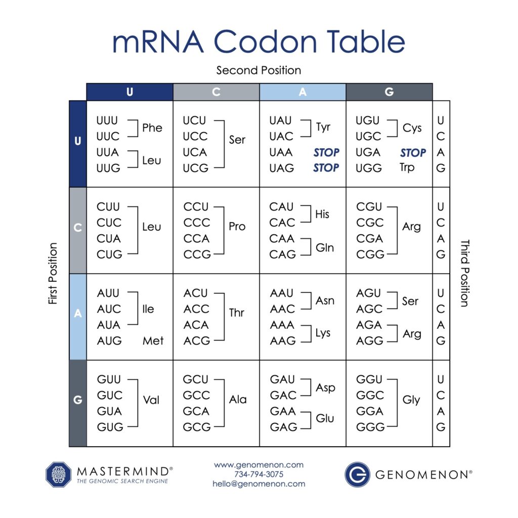 Codon Chart post form
