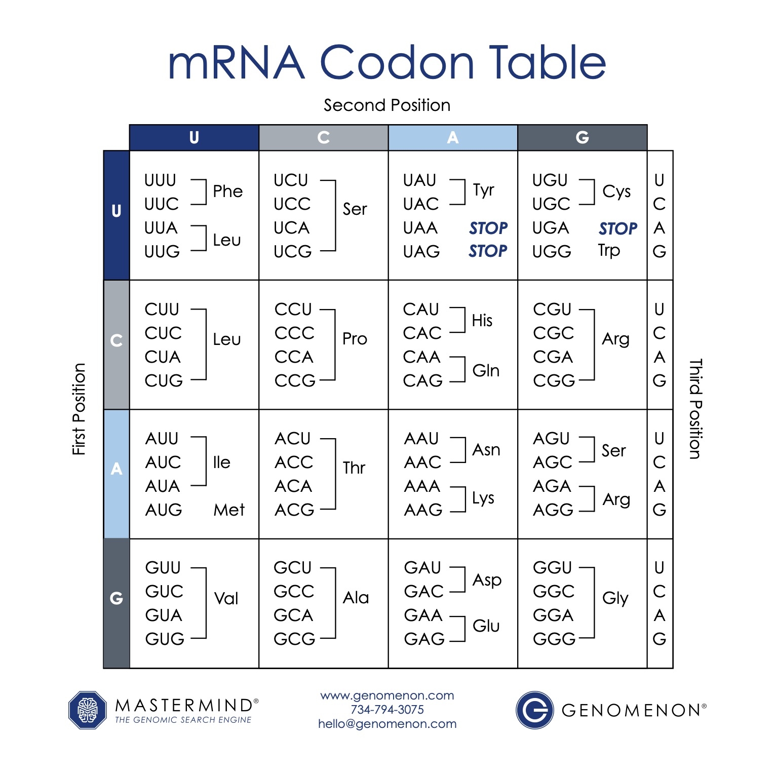 Mrna Codon Chart Printable Mrna Codon Chart Printable