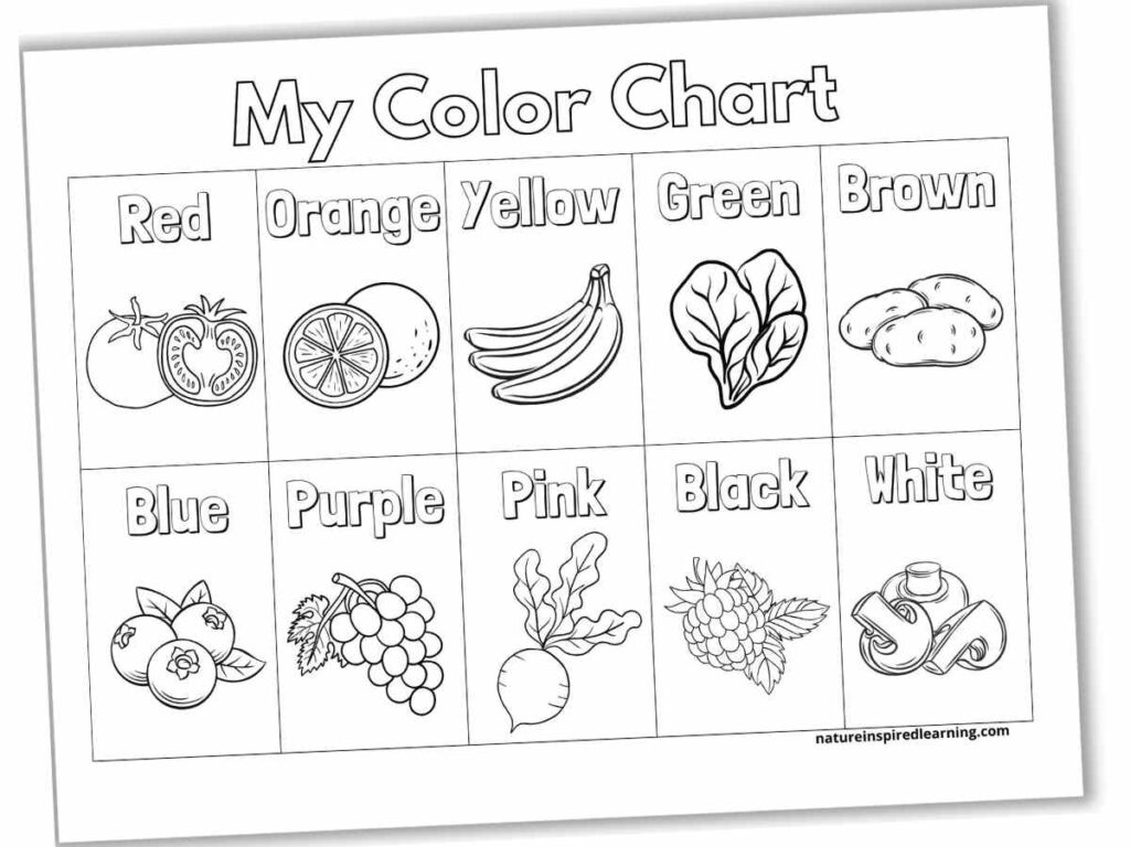 Color Charts Plus Activity Ideas Nature Inspired Learning