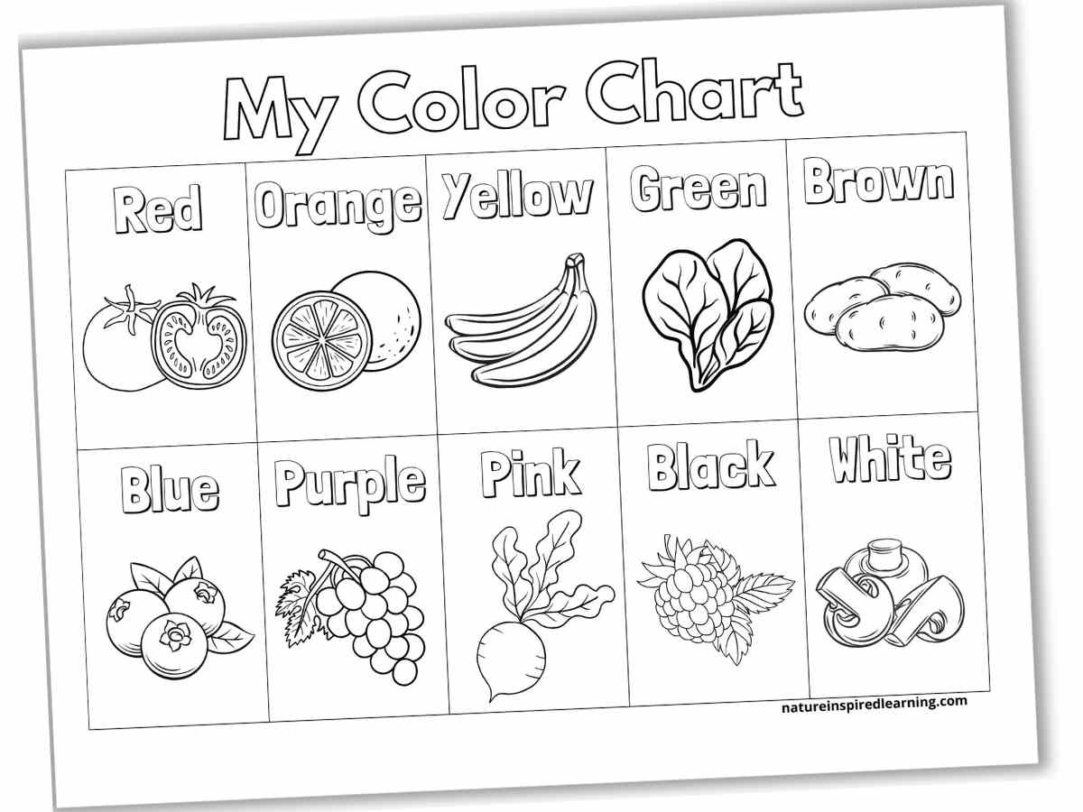 Color Chart For Kindergarten Printable Color Chart For Kindergarten Printable