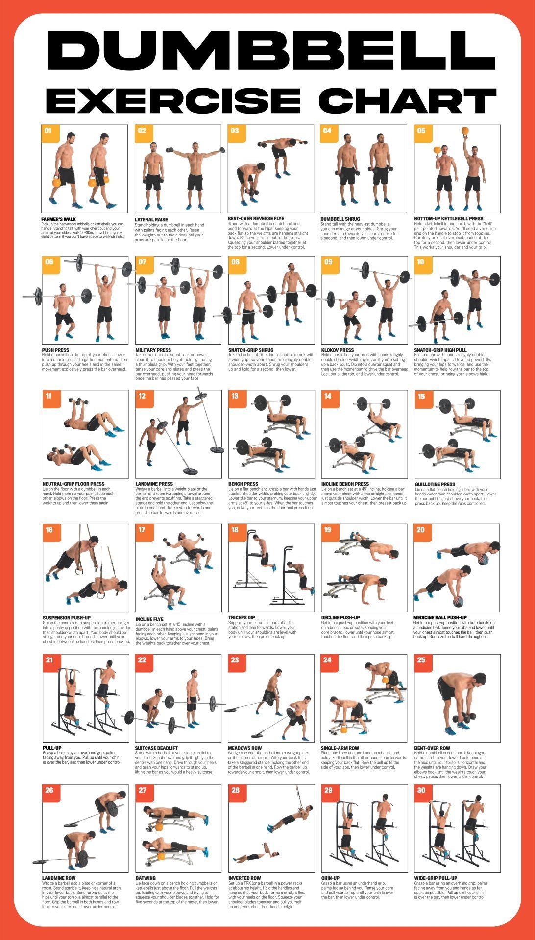 Printable Dumbbell Workouts Chart