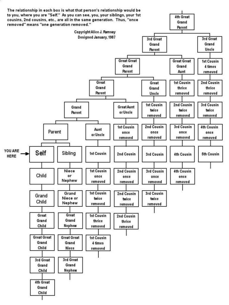 Family Tree Relationship Chart R coolguides