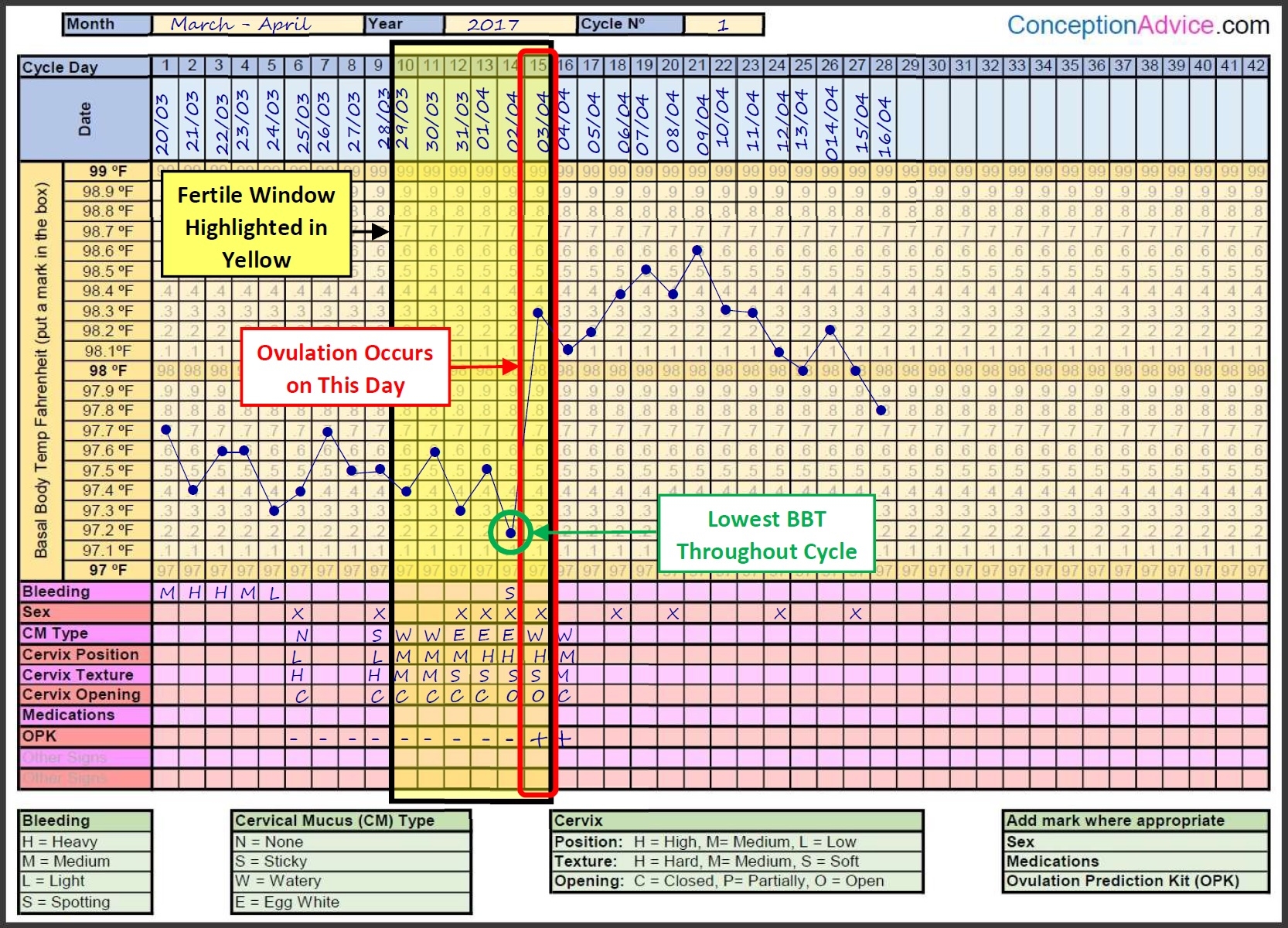 Best Printable Fertility Chart Best Printable Fertility Chart