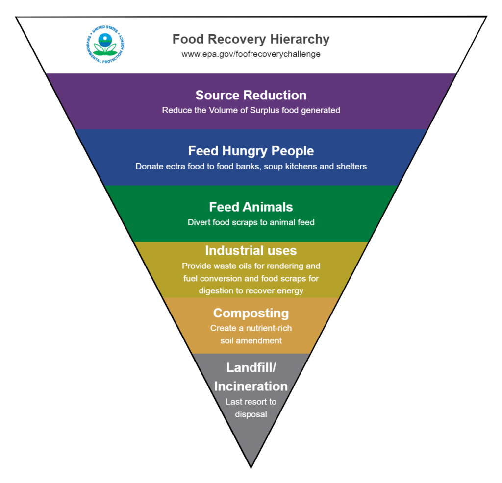 Food Hierarchy Chart EdrawMax Template