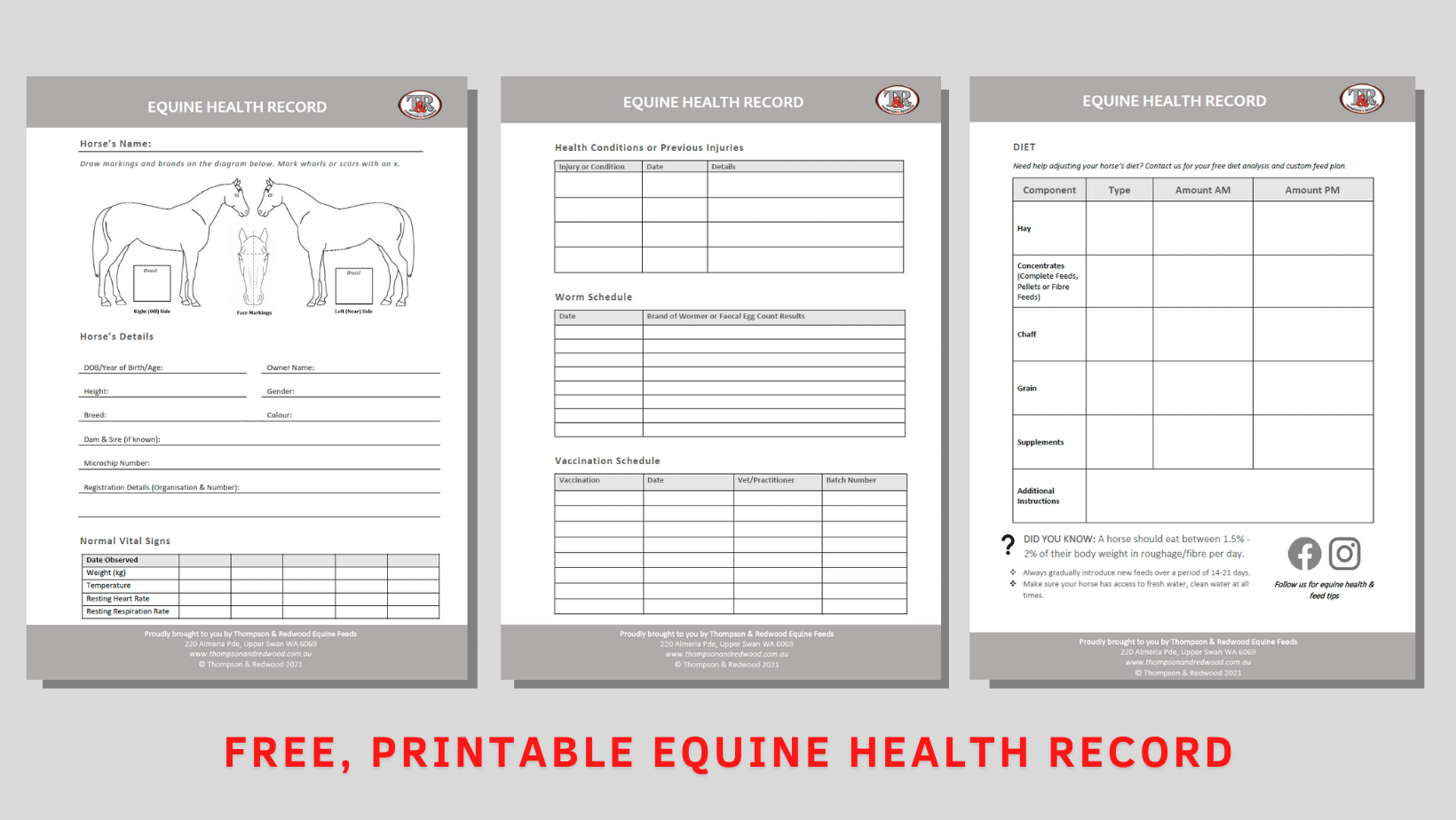 Printable Horse Care Chart