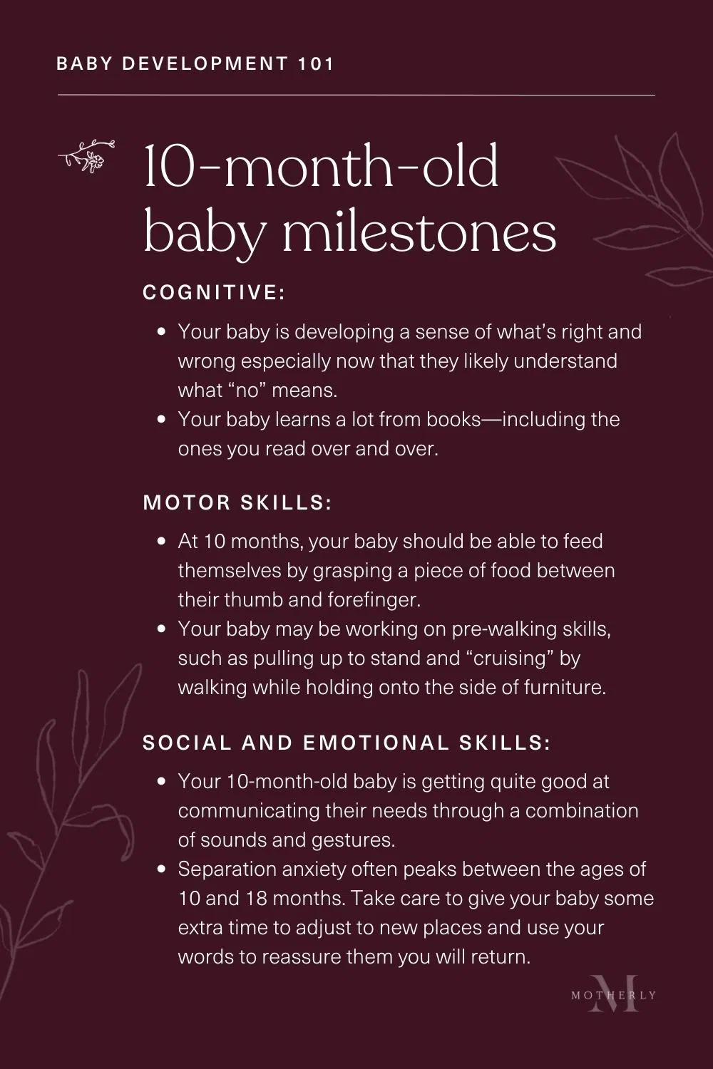 Development Milestone Chart 10 Months Printable