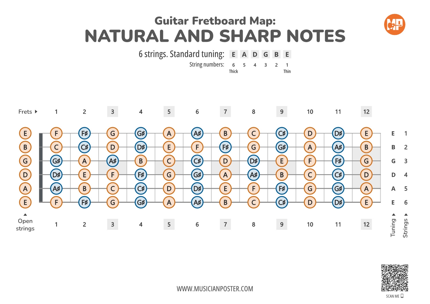 Printable Guitar Fretboard Chart