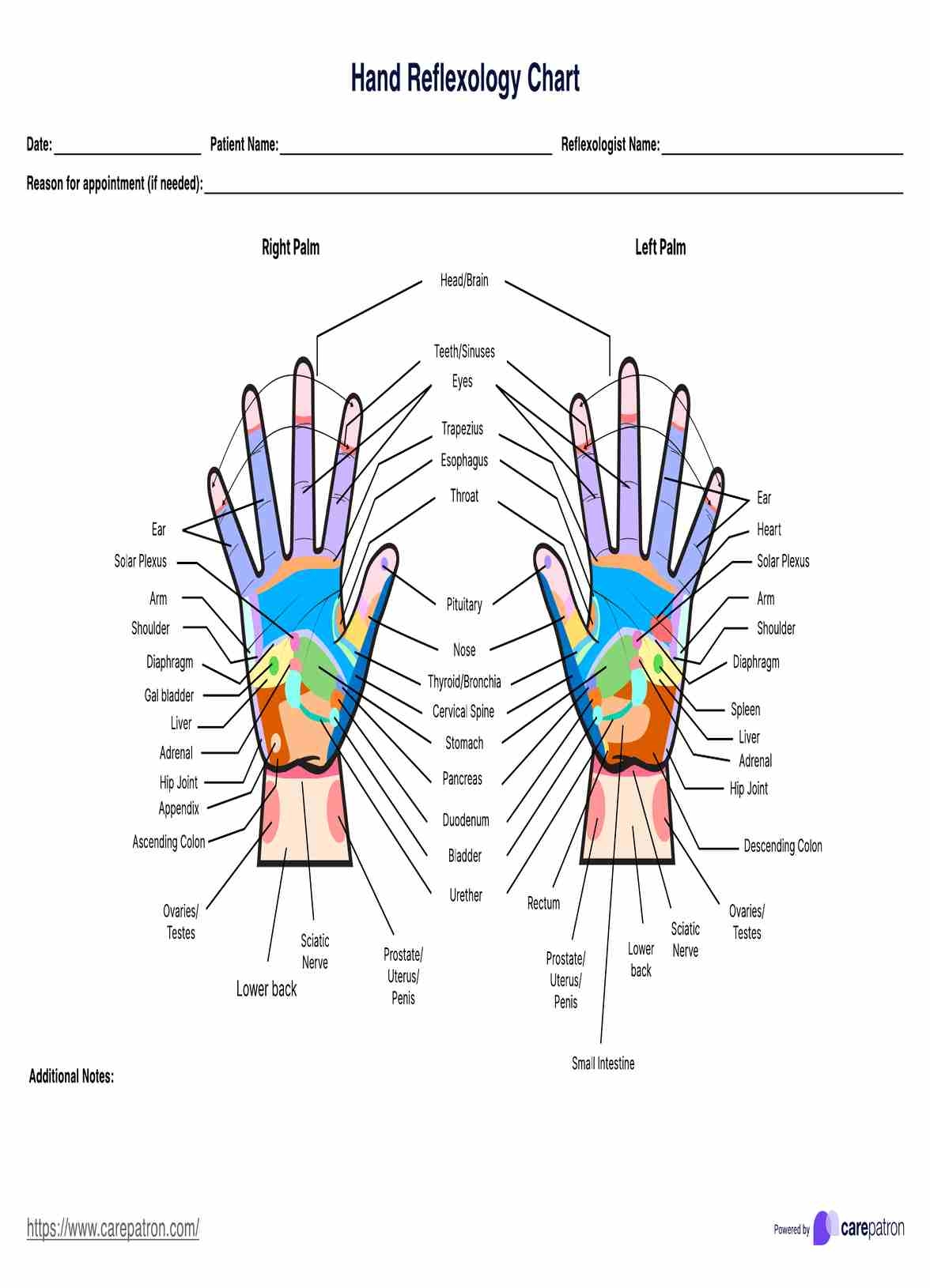 Free Hand Reflexology Chart Printable