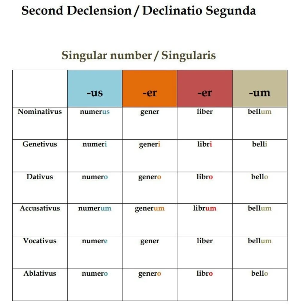 Latin Noun Declension Chart Grammar Classroom Poster digital Download Etsy
