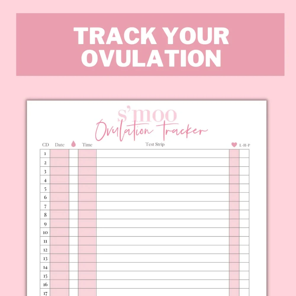Menstrual Cycle Tracker Ovulation And Period Tracker Bundle Printable PDFs