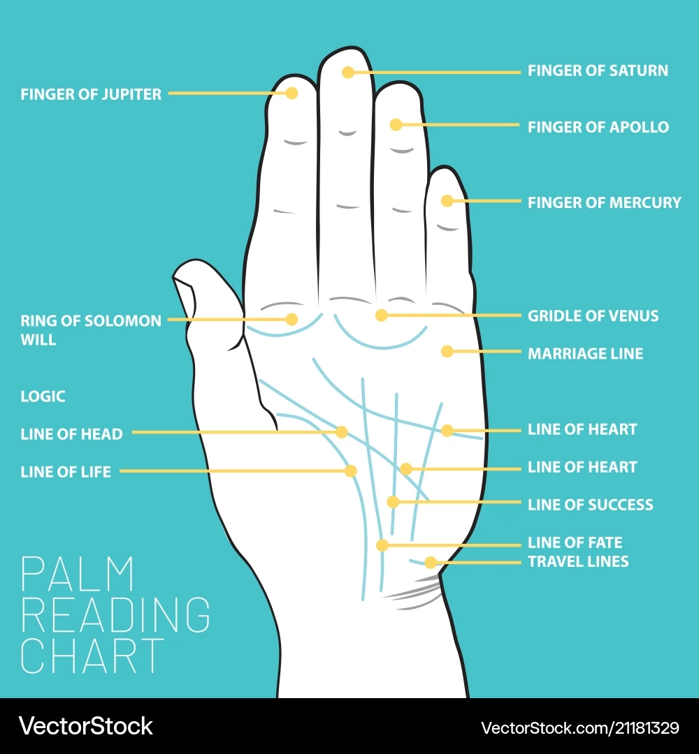 Printable Palmistry Chart Printable Palmistry Chart