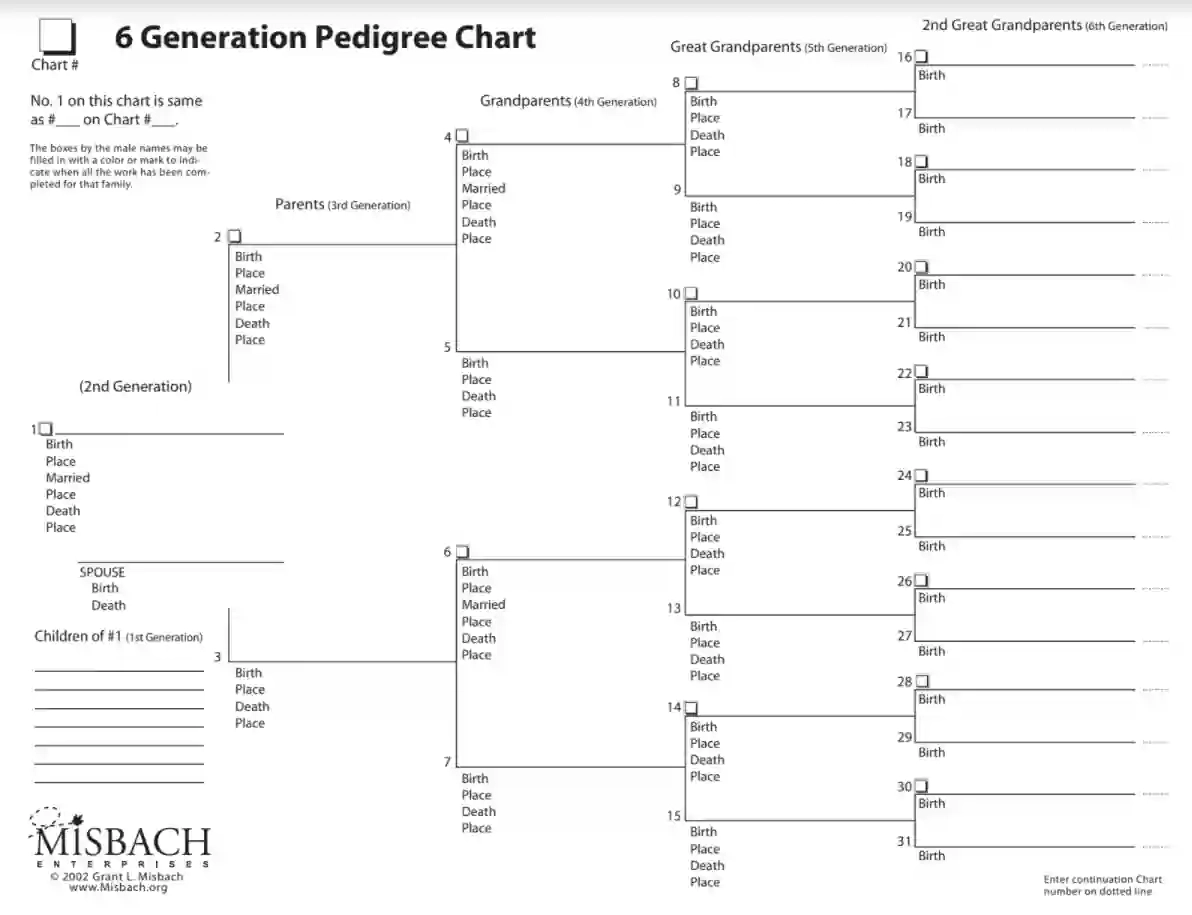 Fillable Free Printable Blank Pedigree Chart