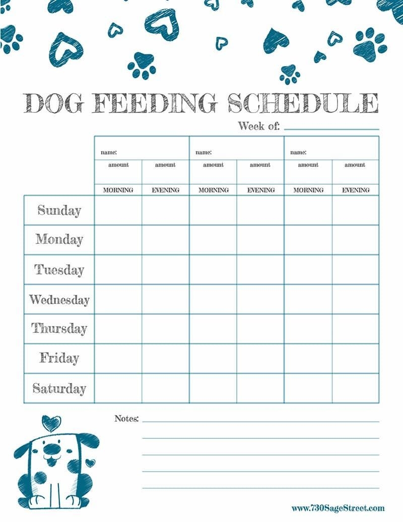 Printable Pet Feeding Chart