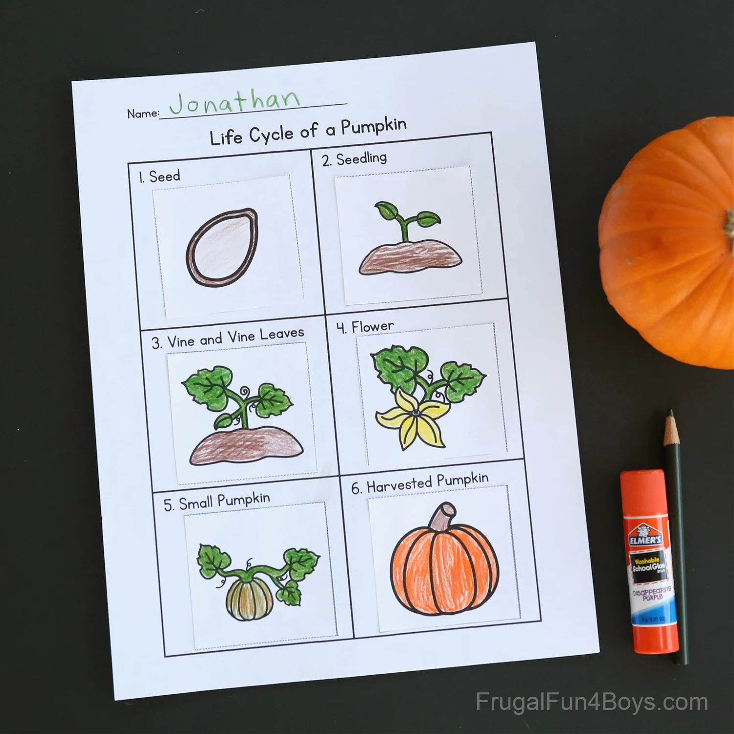Printable Pumpkin Seed Life Cycle Chart