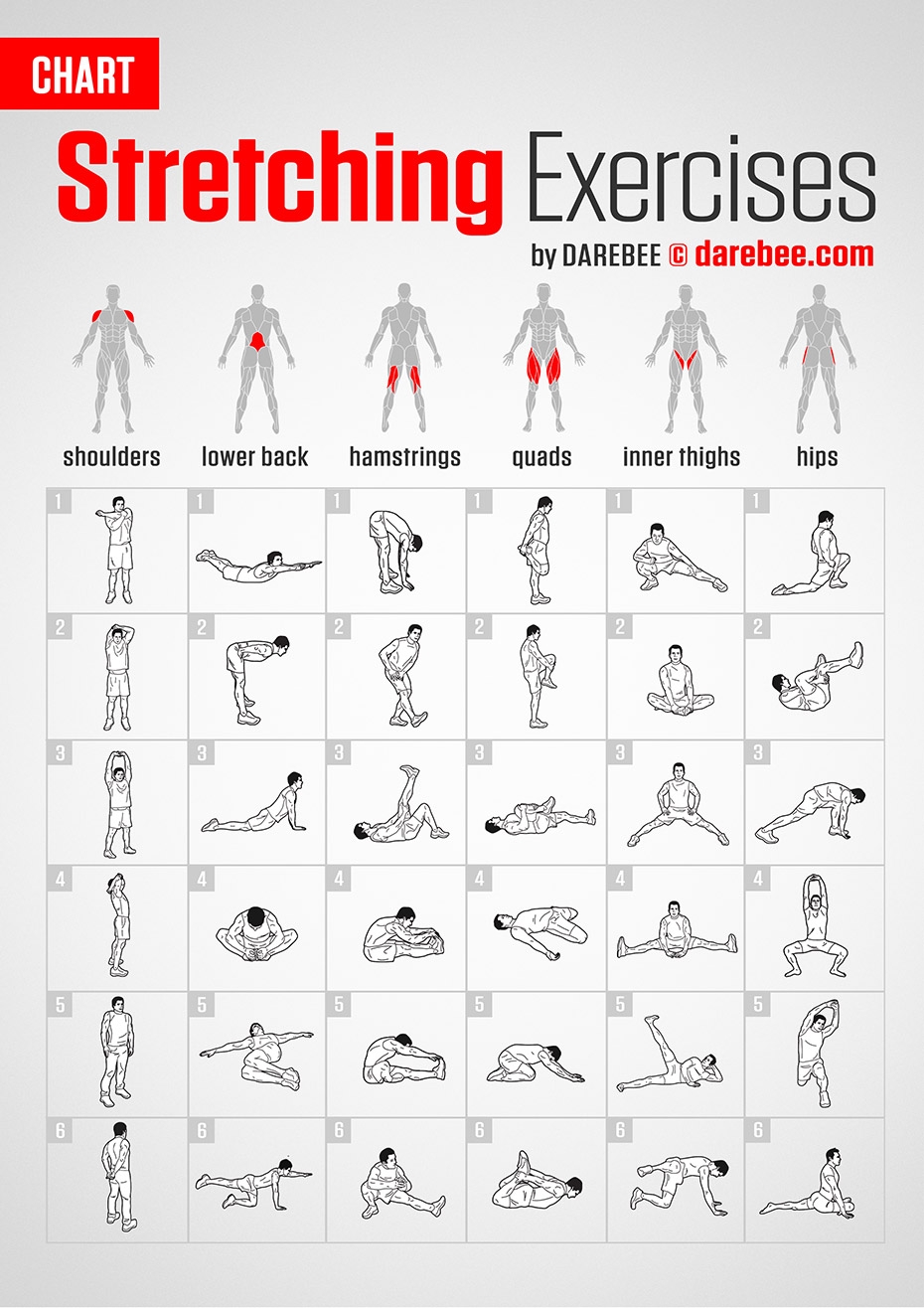 Stretch Charts Printable