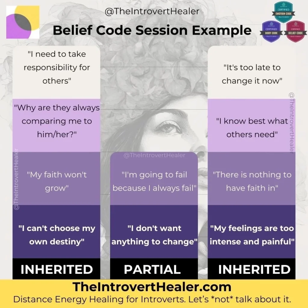 The Belief Code Parallel Belief Systems The Introvert Healer