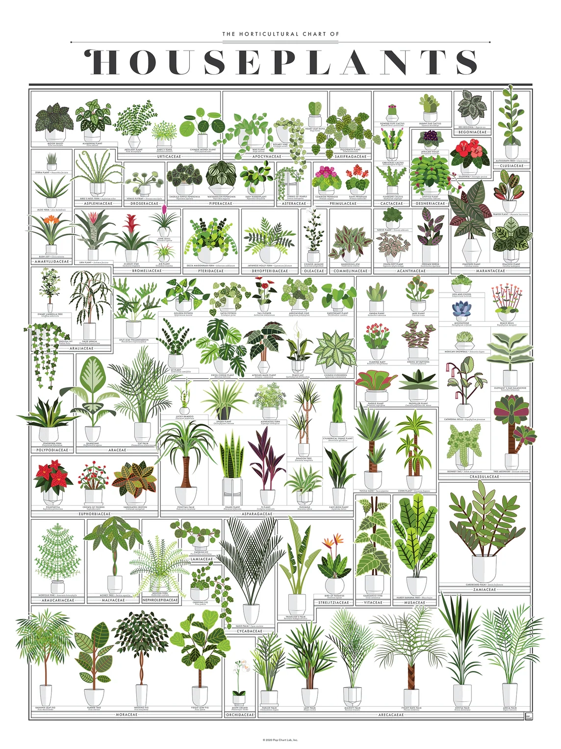 Printable Houseplant Chart
