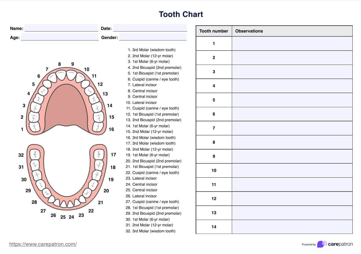 Printable Dental Tooth Chart Printable Dental Tooth Chart