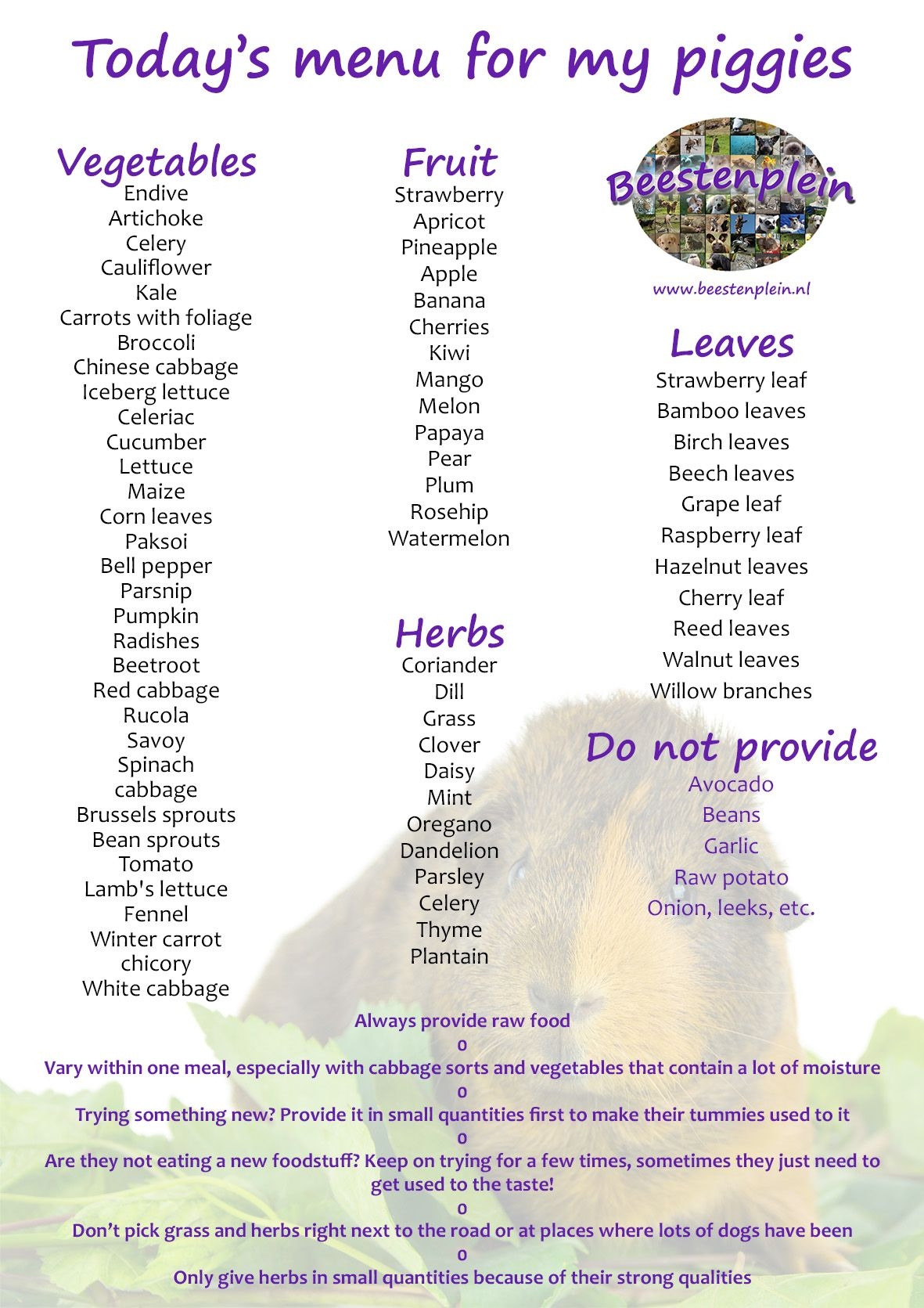 Printable Guinea Pig Food Chart