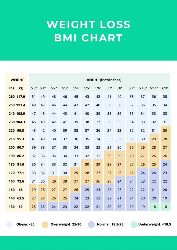 Weight Loss BMI Chart In PDF Download Template